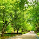 강원도립화목원 이미지