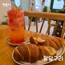 달담구리
