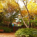 산본 문화의 거리 이미지