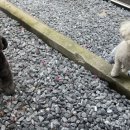 송파위례유치원 이미지