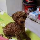 한서동물병원 이미지