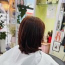 헤어두비취 이미지