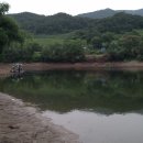 양촌리.동양촌 이미지