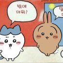 족발마켓 네이버블로그