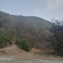 독골닭집 이미지