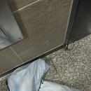 고피자태릉