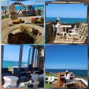 외도339 제주 브런치 카페 반려견과 오션뷰 즐기는 <b>외도</b><b>339</b>