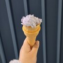[경기/시흥] 웰컴사이공 분팃느엉 후기_거북섬 쌀국수, 짜조 내돈내산