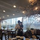 원할머니보쌈도당점