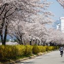 동락공원 자전거대여소(평일 동절기) 이미지