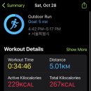 그리올라 이미지