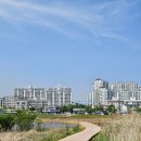 (주)반구대사람들 | 차 - 울산여행 (태화강 국가정원, 태화강 생태관, 선바위, 암각화박물관, 반구대암각화, 봉계리 노지) 후기