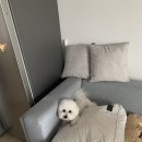 너애개만