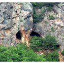 봉의농장 이미지