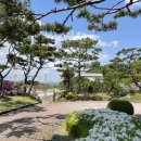 스테이인 호텔 봄 이미지