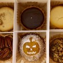 신구대학교 식물원 갤러리 우촌 이미지