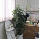 라온아파트사거리 1 이미지