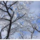 천하촌펜션 이미지