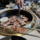 신도세기강남