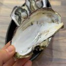 [경남/양산] 석산OK도매횟집, 대방어가 맛있는 양산 횟집 추천