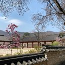 청소년전통문화체험관 이미지