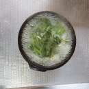 장수골다슬기 이미지