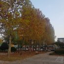 성포예술광장 이미지