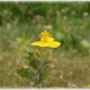 논두렁밭두렁 이미지