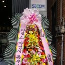 영카모터스 - 강동구 올림픽로92길 62 | 영카모터스