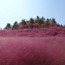 장류마실 이미지