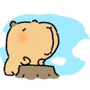 카페드로아시스 네이버블로그