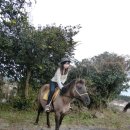 오케이승마목장 이미지