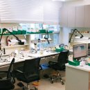 엘치과기공소 이미지