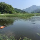 강촌체험장낚시터 이미지