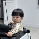 미미샤브 이미지