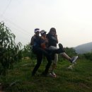 소월1리 Daum카페