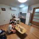 현포그린하우스 | 울릉도 숙소 추천 ! 현포그린하우스 !! 5박 후기