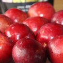 신태양농장 이미지