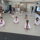 매화태권도