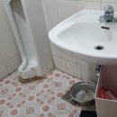 용산-현장-911 이미지