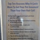 사람과애견 이미지