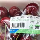 88전자 이미지
