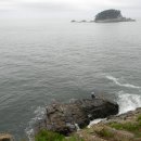 [피서 성지 순례] 바다와 해송, 기암괴석이 어우러진 아름다운 해안 경승지, 부산 몰운대 (다대포해변) 이미지