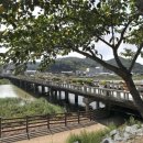 벌교금융조합 이미지