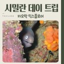 카오락 익스플로어 시밀란 리쉘리우락 다이빙 데이 트립