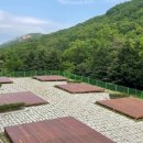 초원 숲속 야영장 이미지