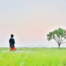 바람불어좋은날 이미지