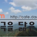 토금화원