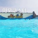 파도 위를 둥둥~ 시흥 거북섬 웨이브파크 &#39;미오코스타&#39; 방문 후기