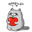 제이제이캣 이미지